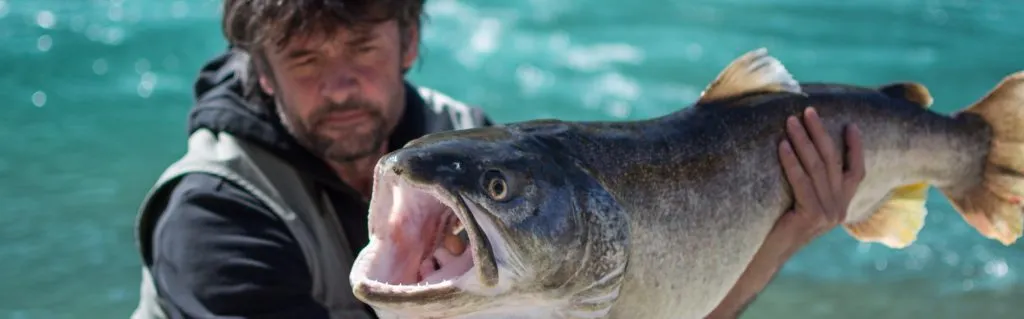 The waters are full of game