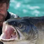 The waters are full of game