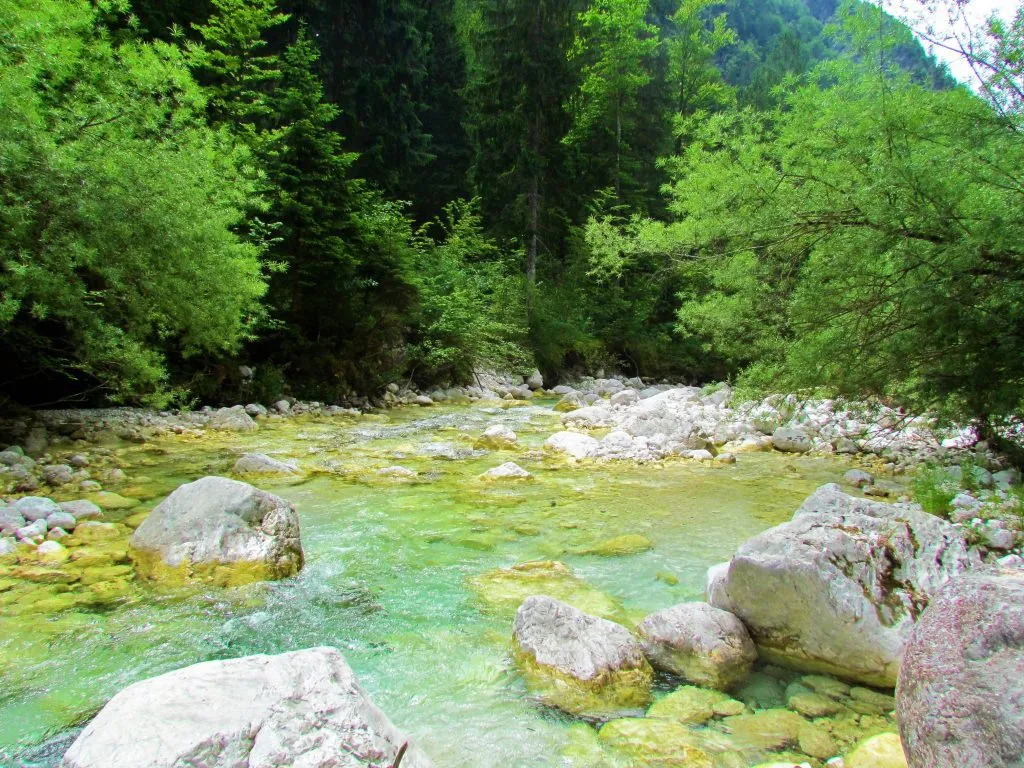 Soča Fly Fishing Holiday