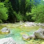 Soča Fly Fishing Holiday