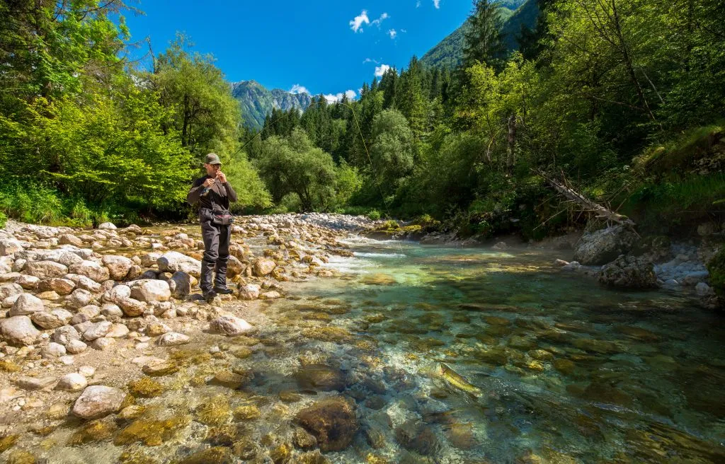 Fly fishing on the Soča River