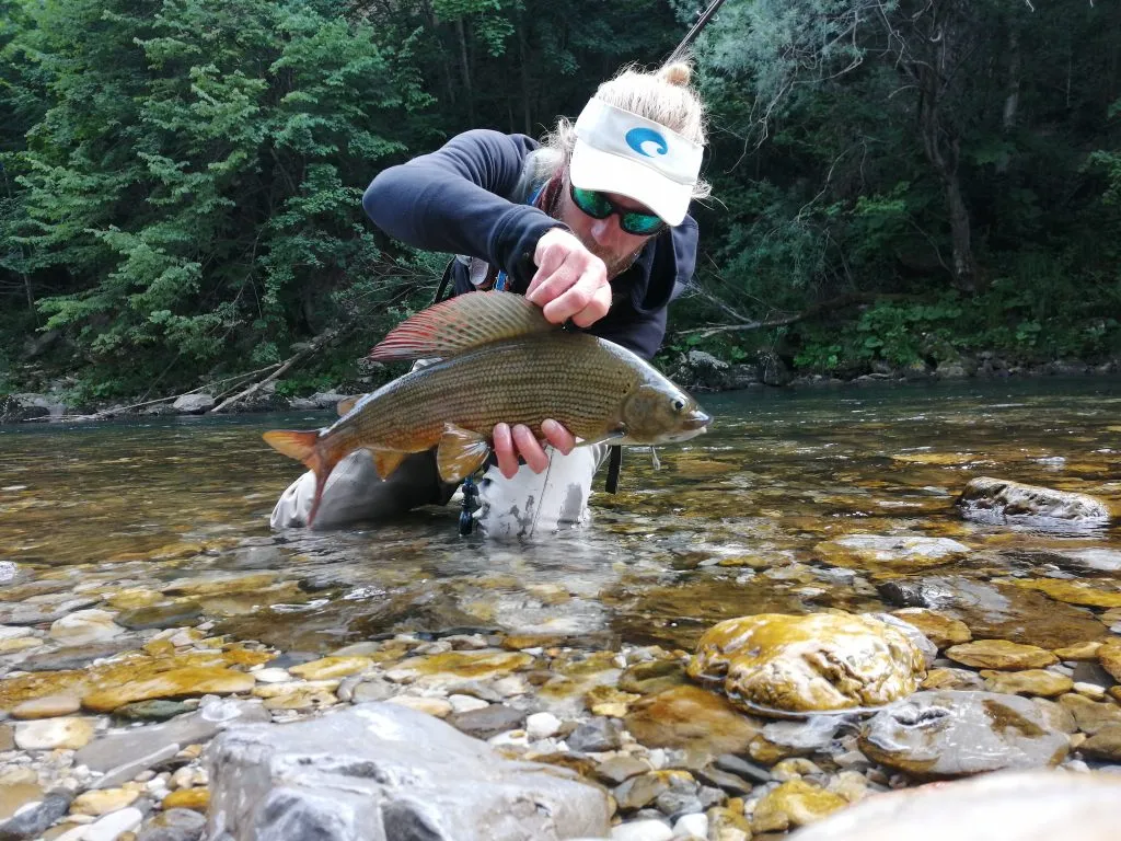 Grayling's signature dorsal fin