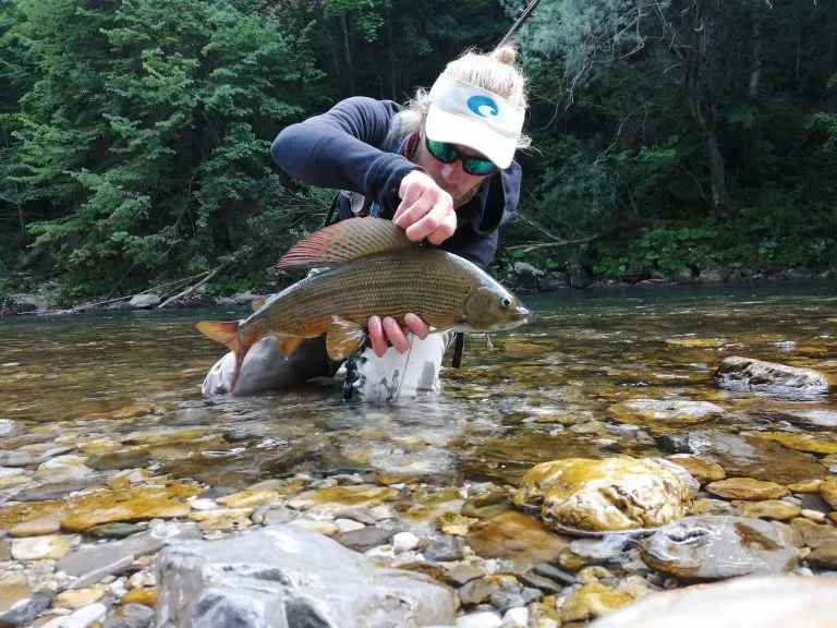 Grayling's signature dorsal fin